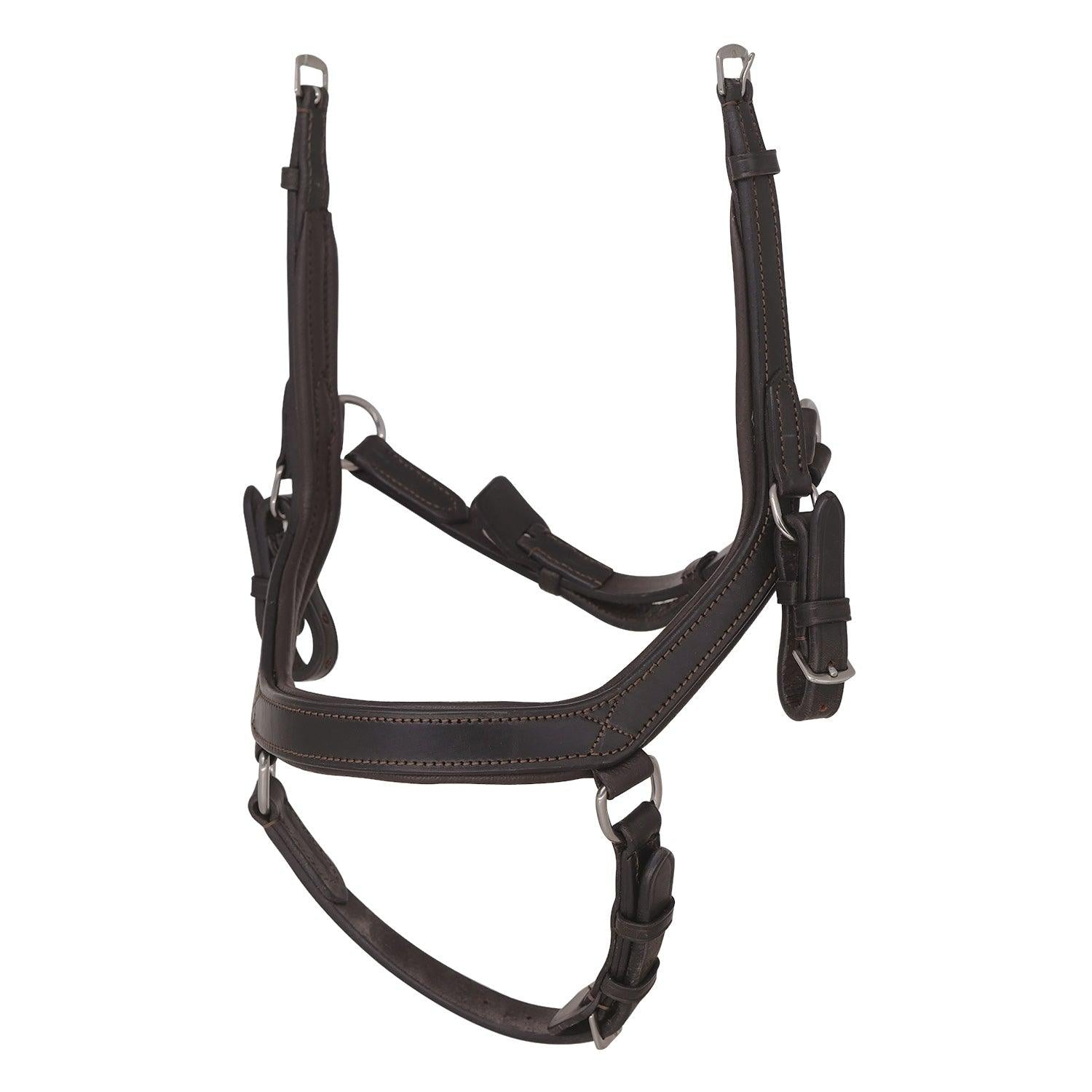 2 in 1 Comfort Noseband – Havana