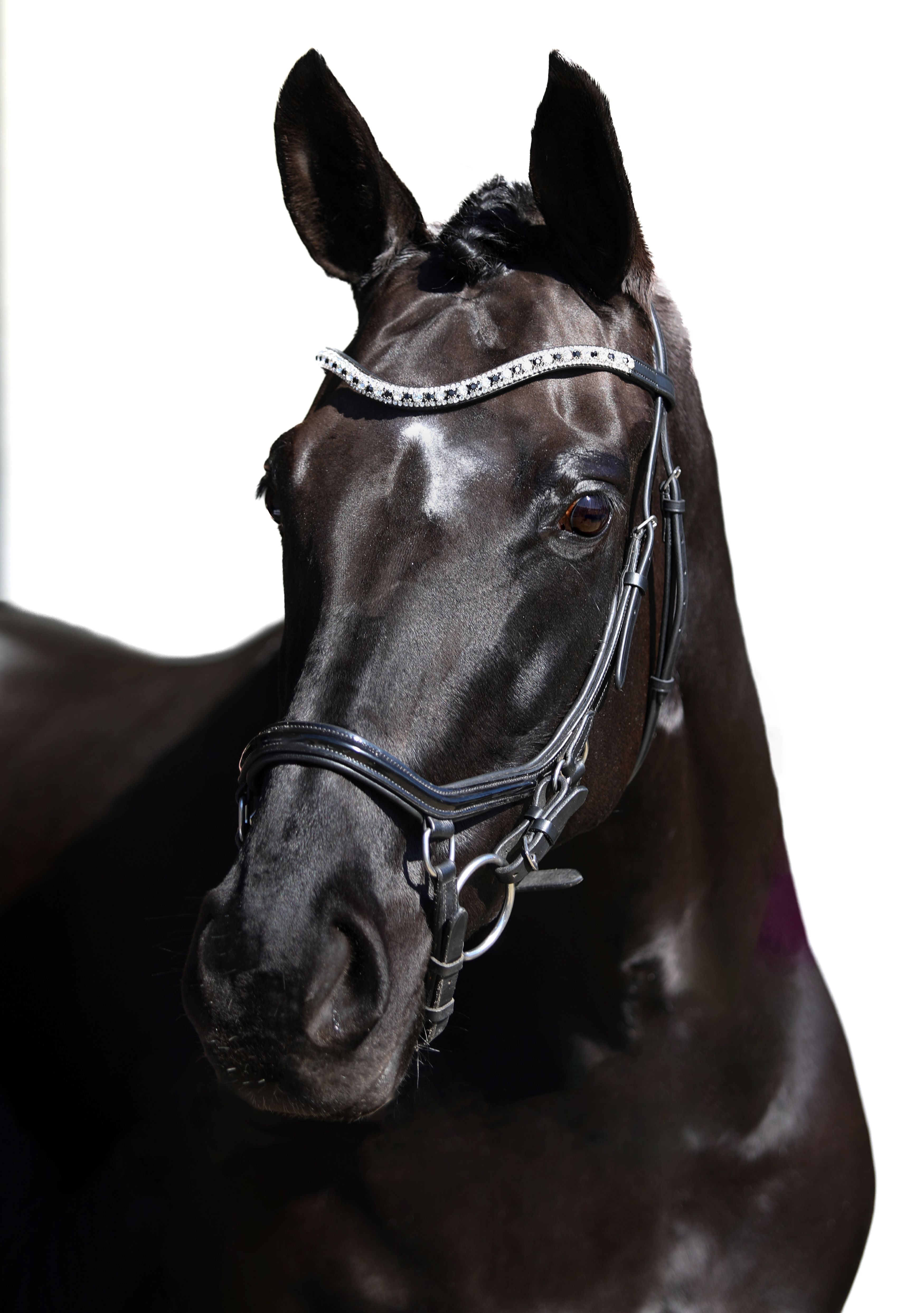 Premium Black Comfort Bridle ‘Star’