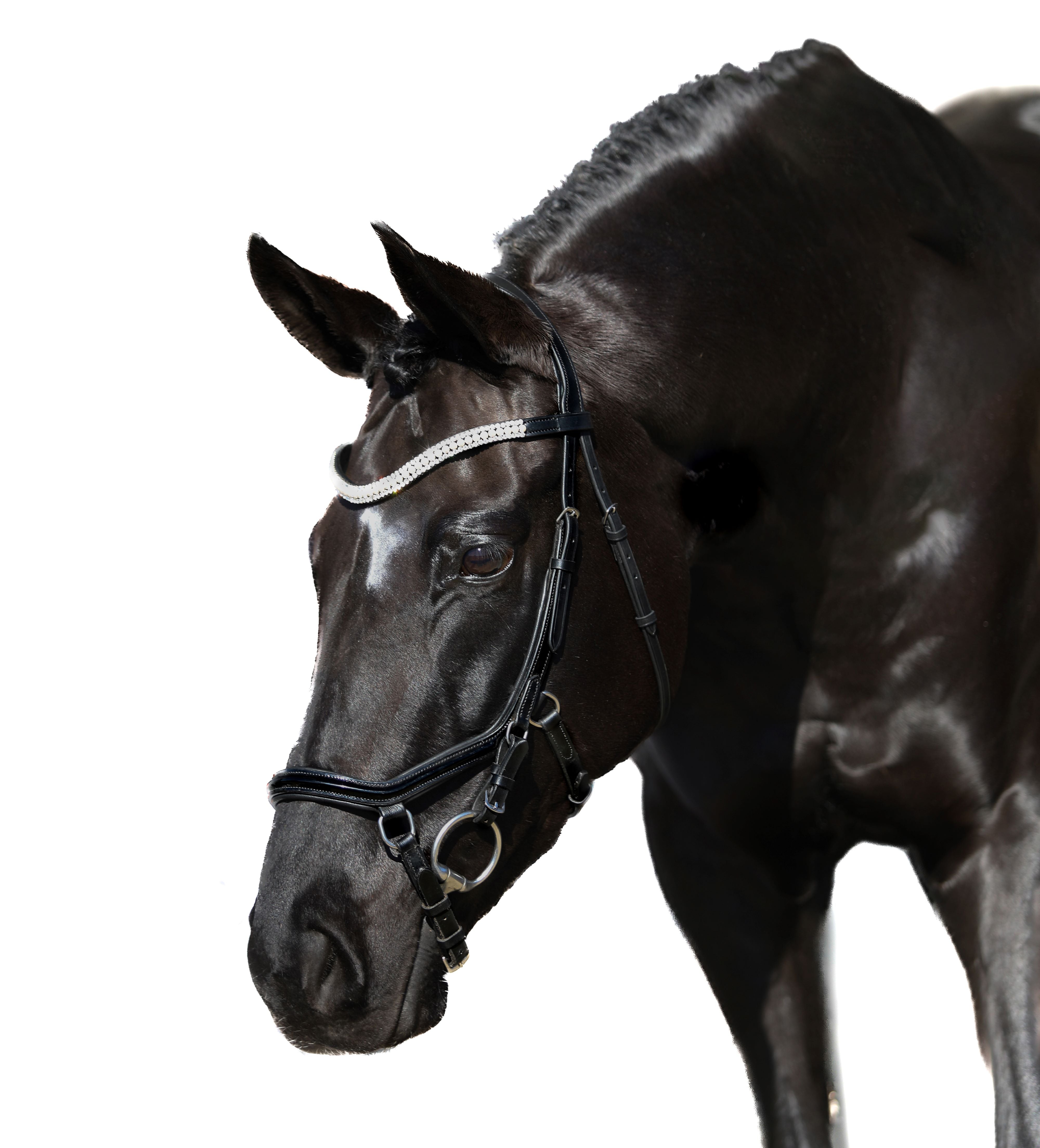 Premium Black Comfort Bridle ‘Diamond’