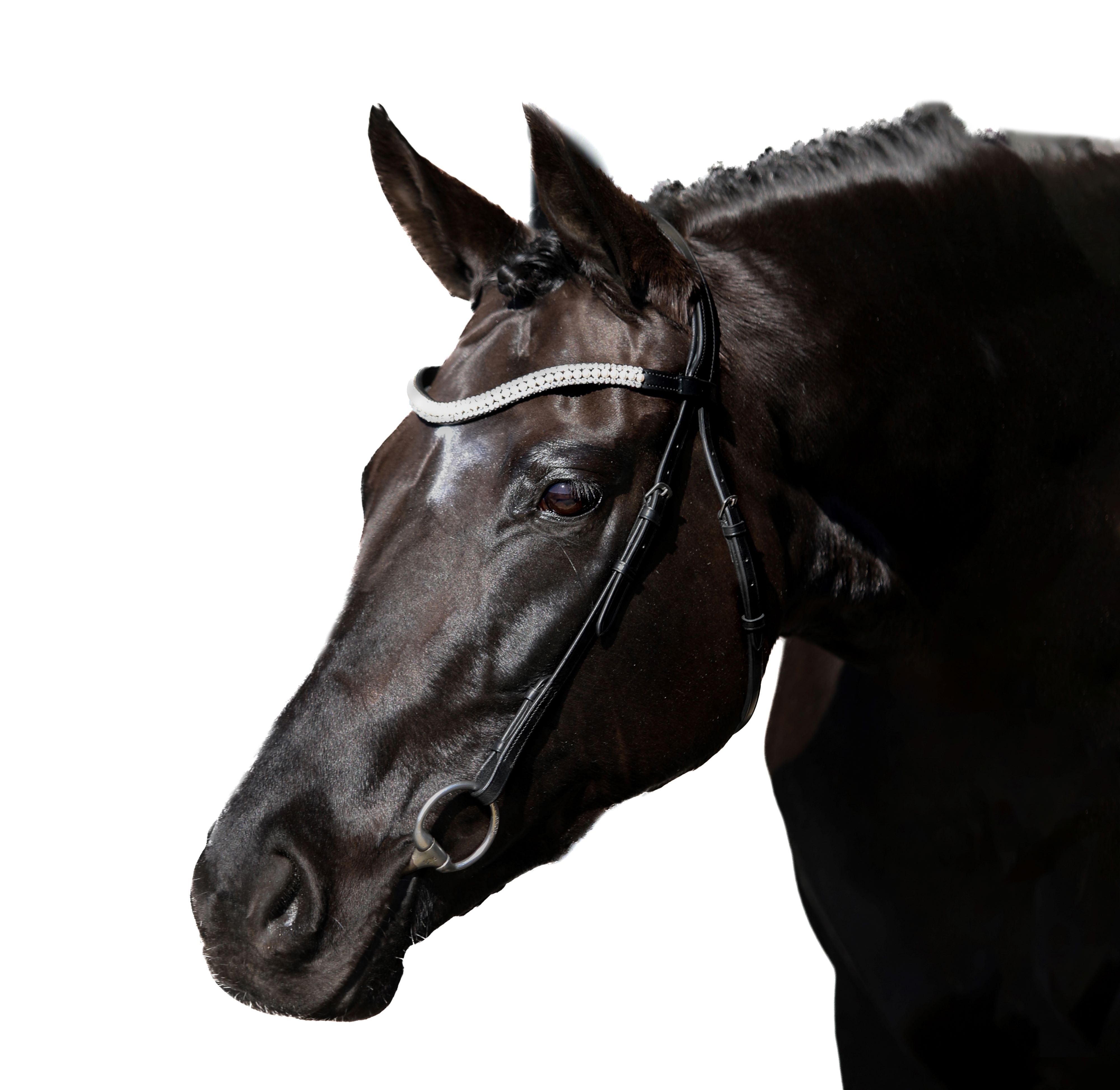 Black Nosebandless Bridle ‘Dolce’