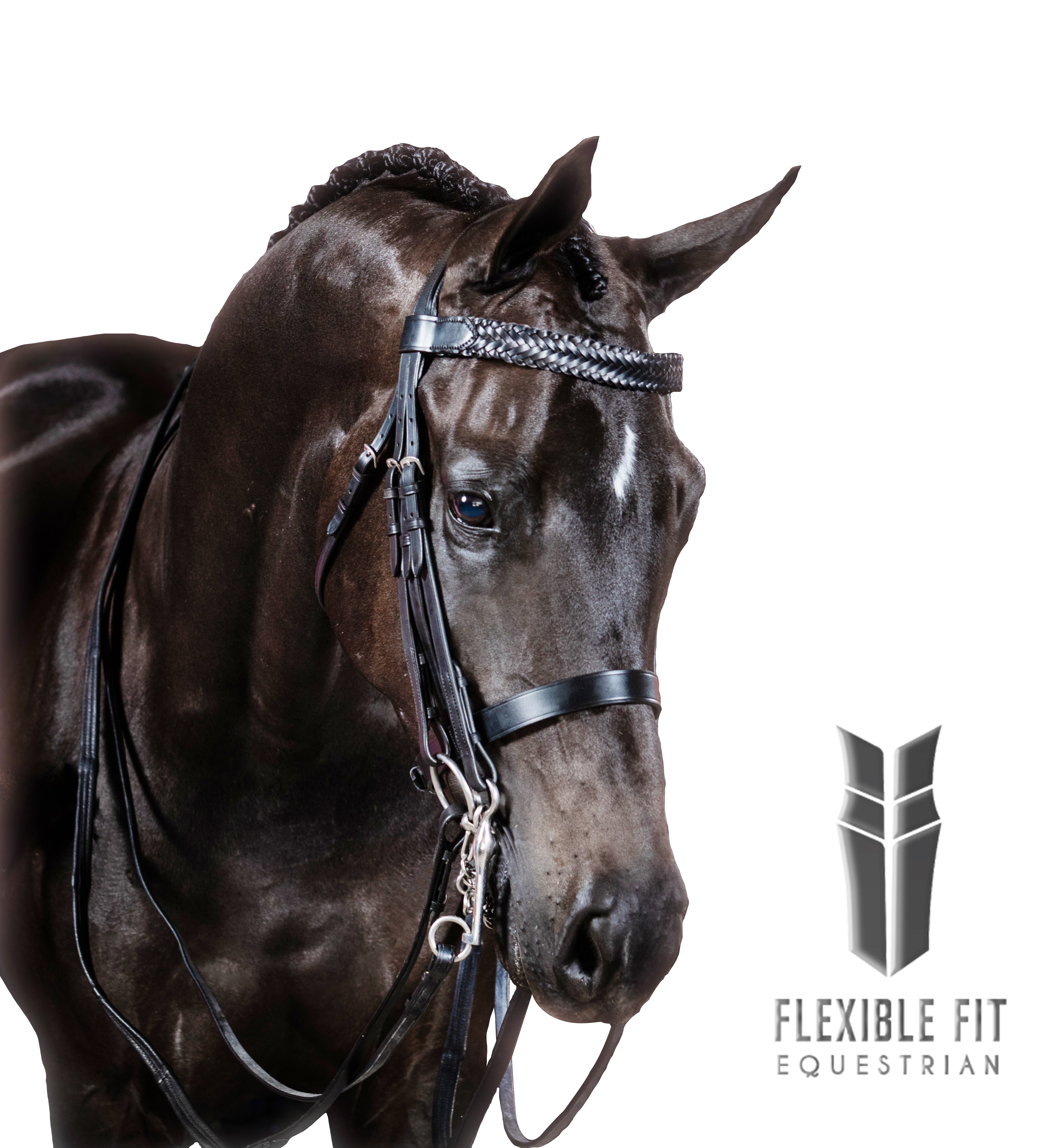 Premium Black Double Show Bridle ‘Elation’