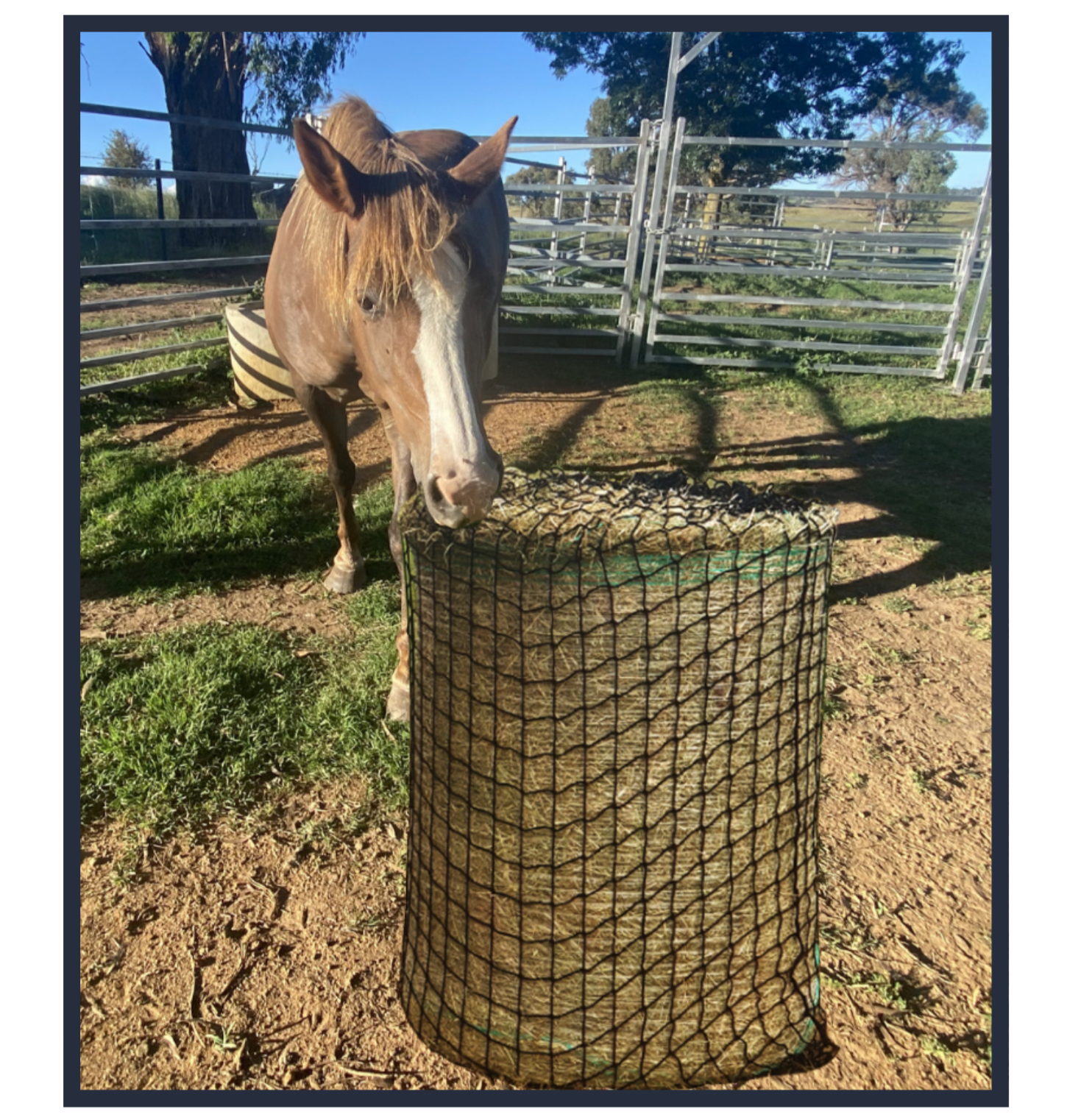 Round Hay Nets
