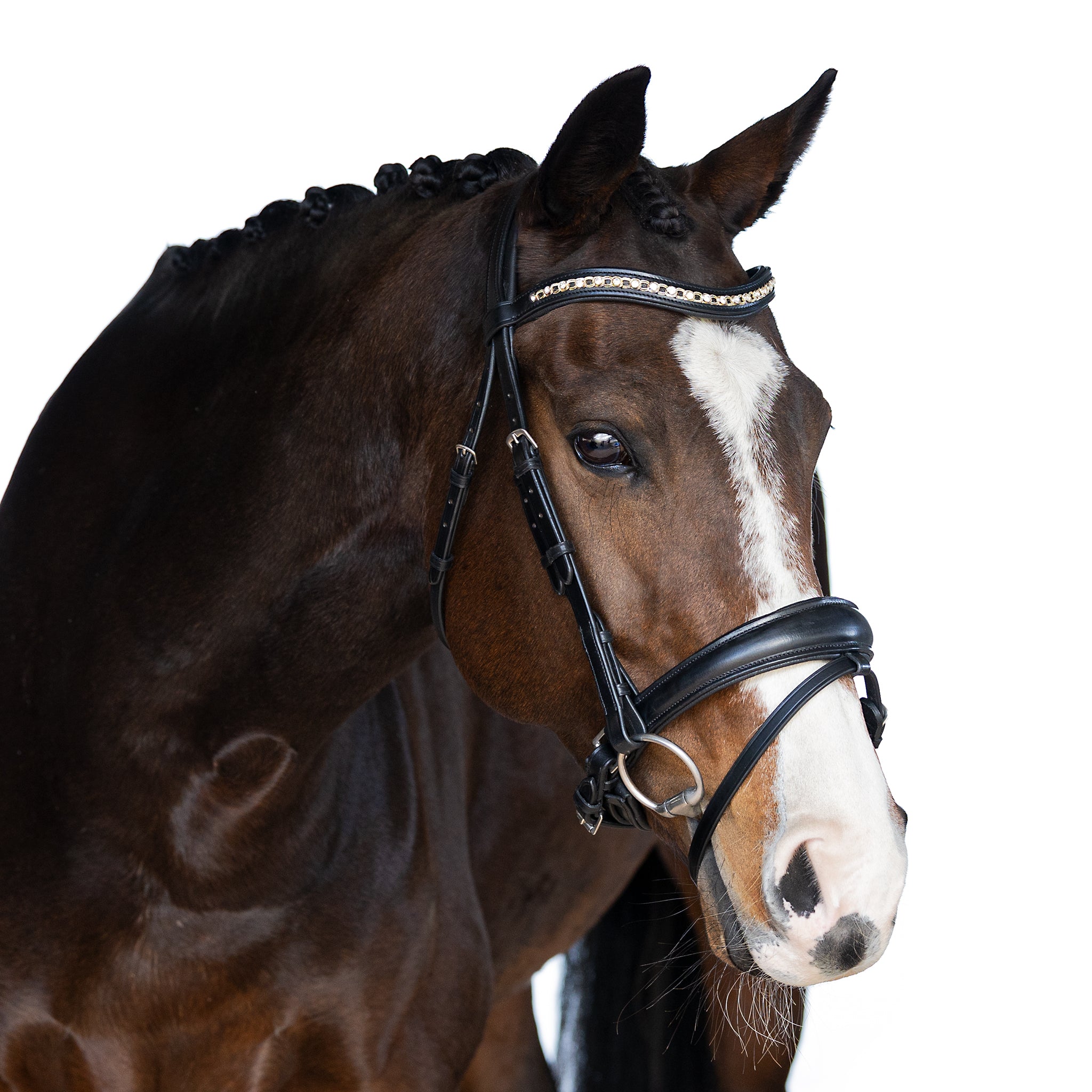 Black Snaffle Bridle ‘Ava’