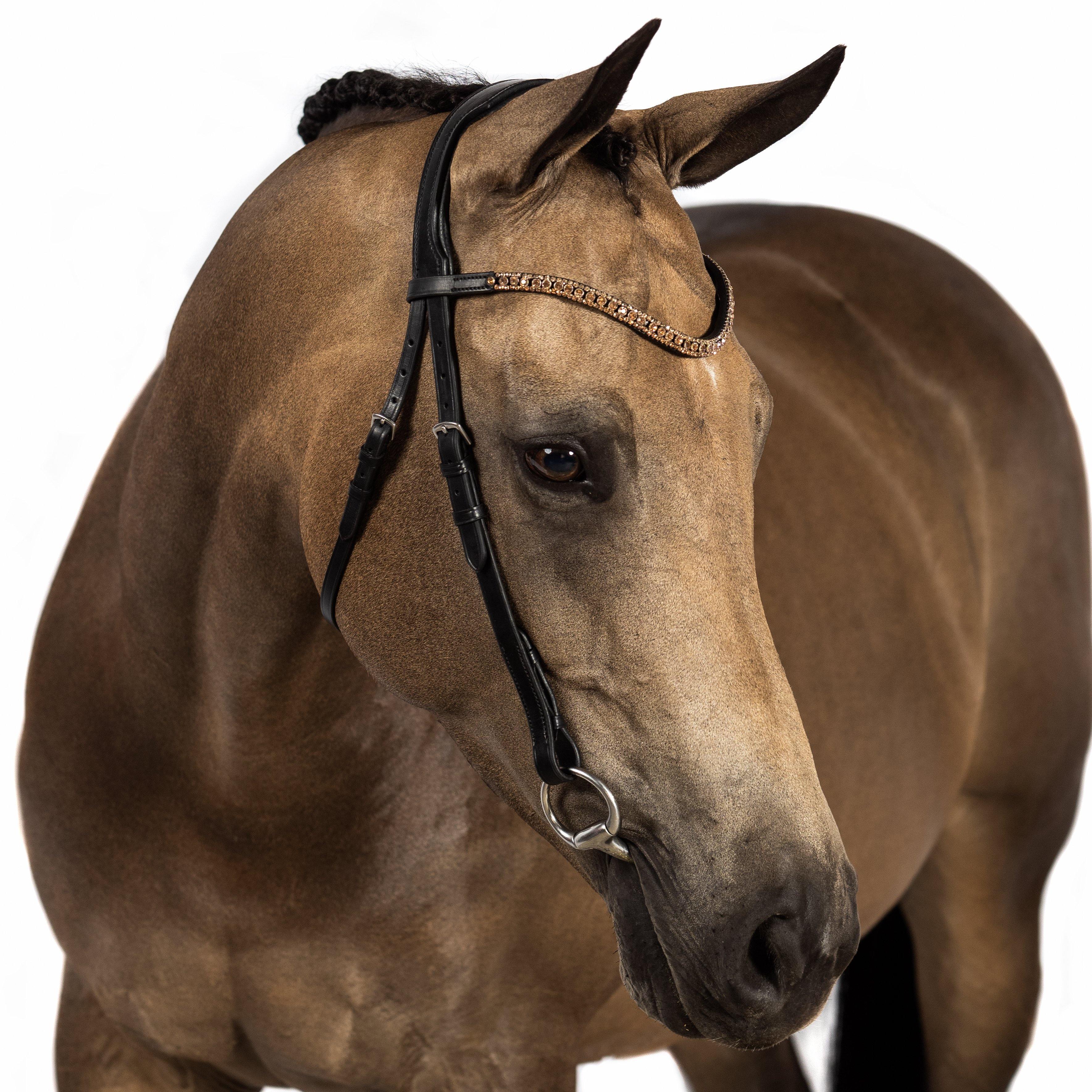 Black Nosebandless Bridle ‘Orion’