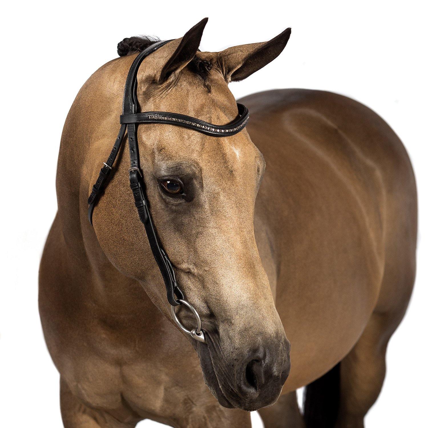 Black Nosebandless Bridle ‘Silhouette’
