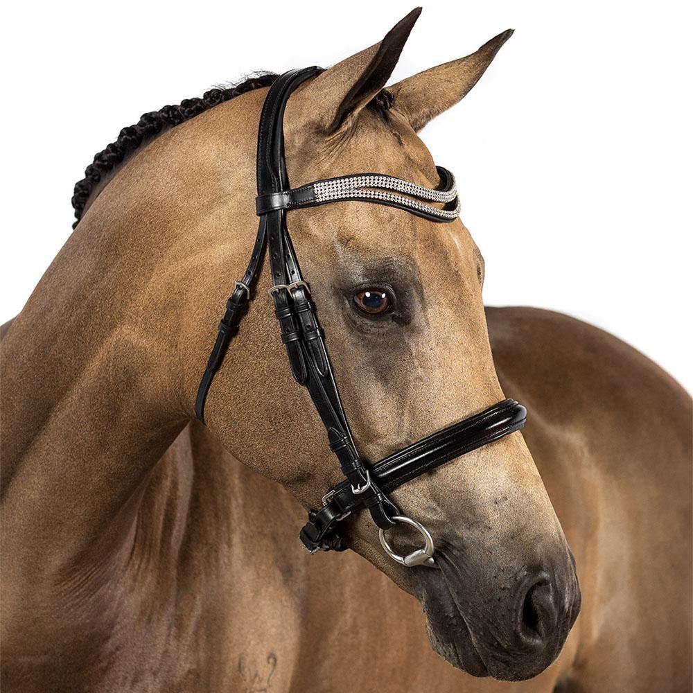 Black Snaffle Bridle ‘Jubilant’