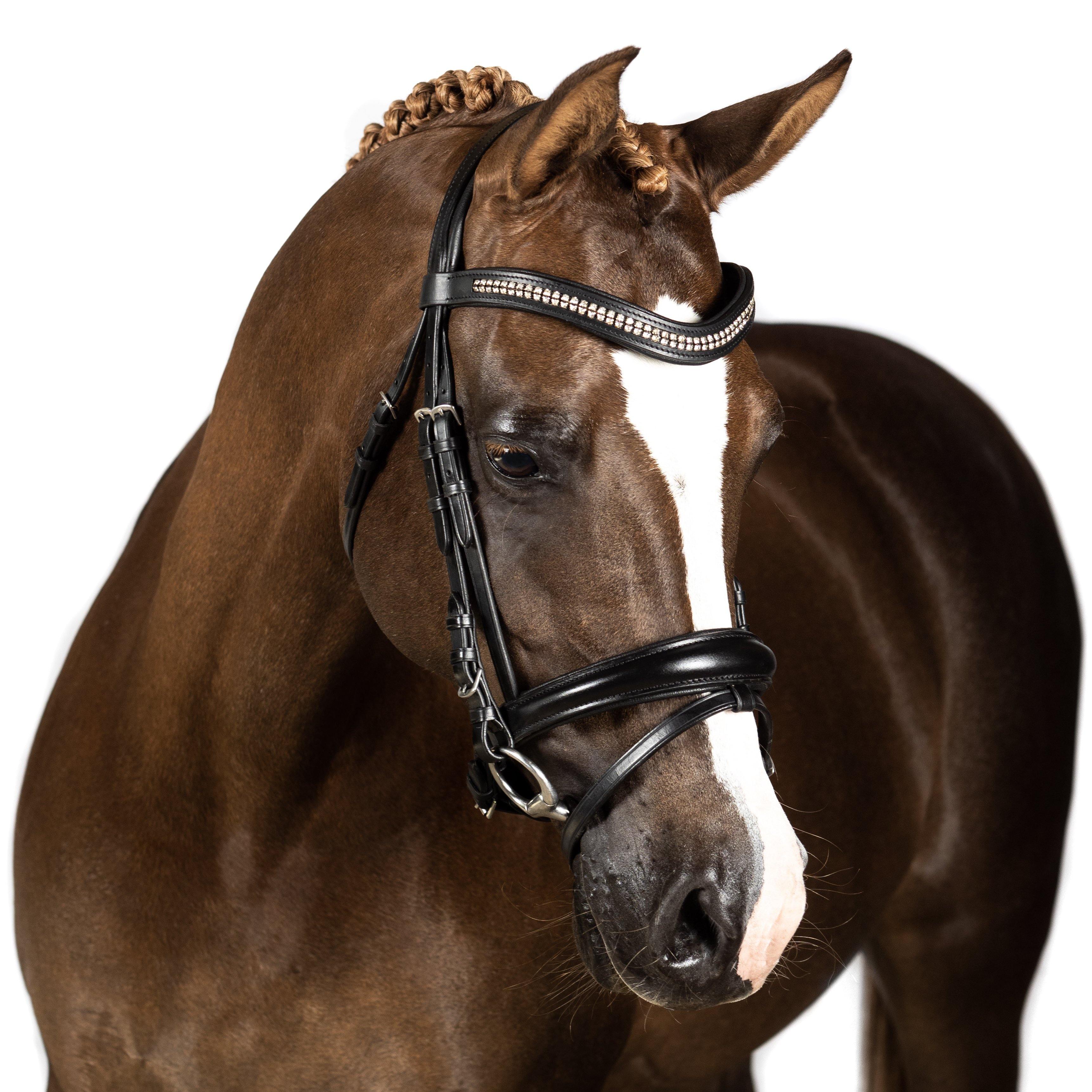 Black Snaffle Bridle ‘Paradise’