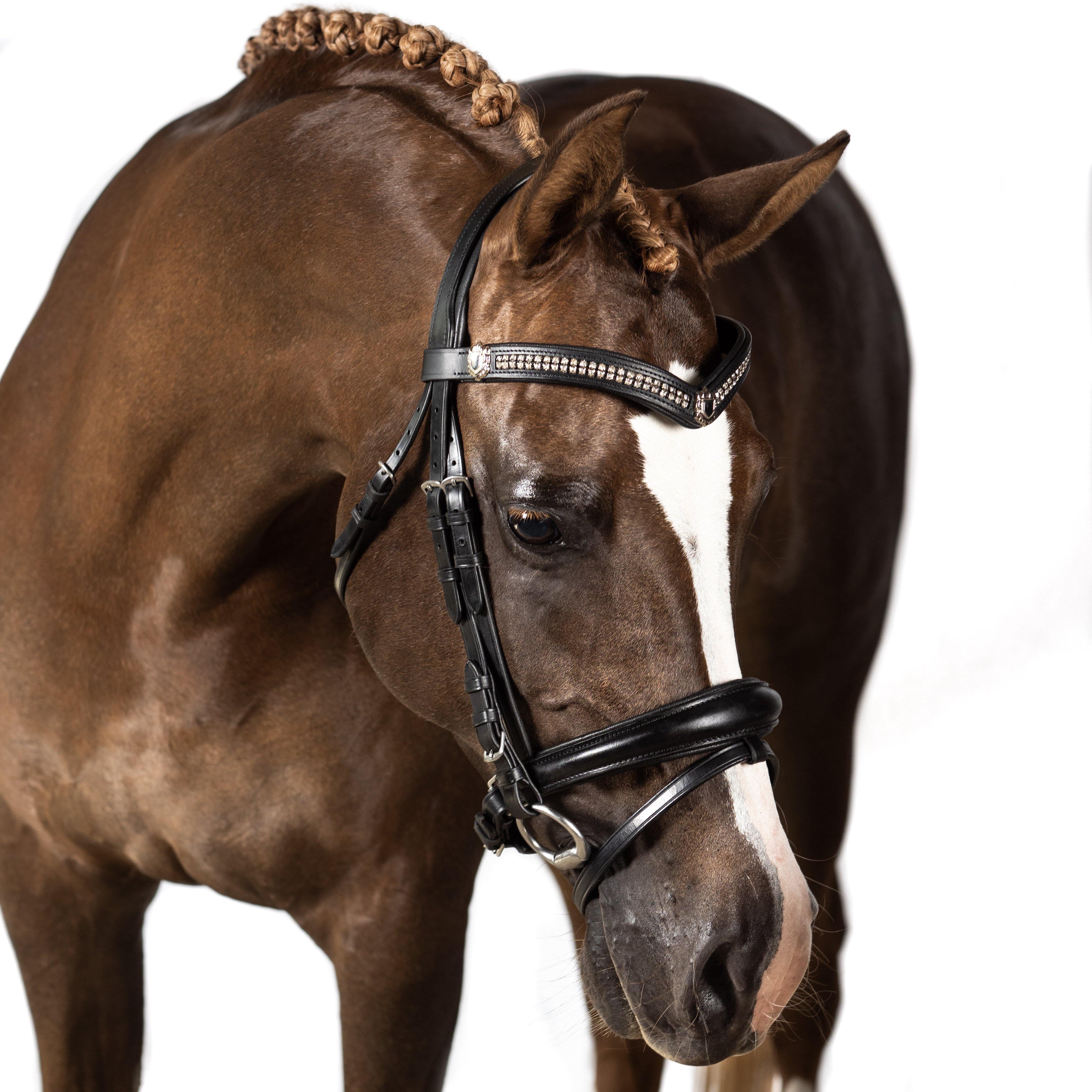 Black Snaffle Bridle ‘Petrichor’