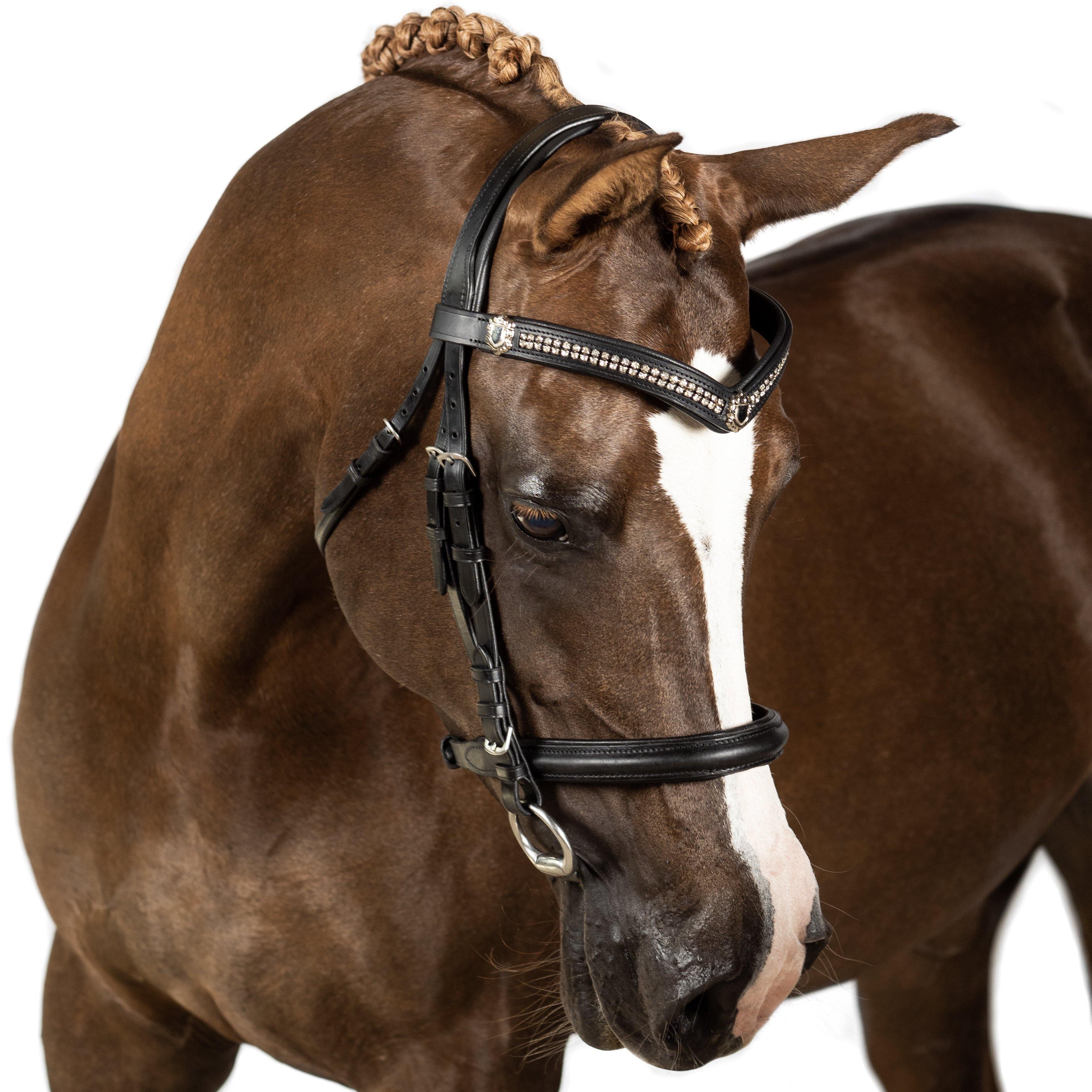 Black Snaffle Bridle ‘Spellbound’