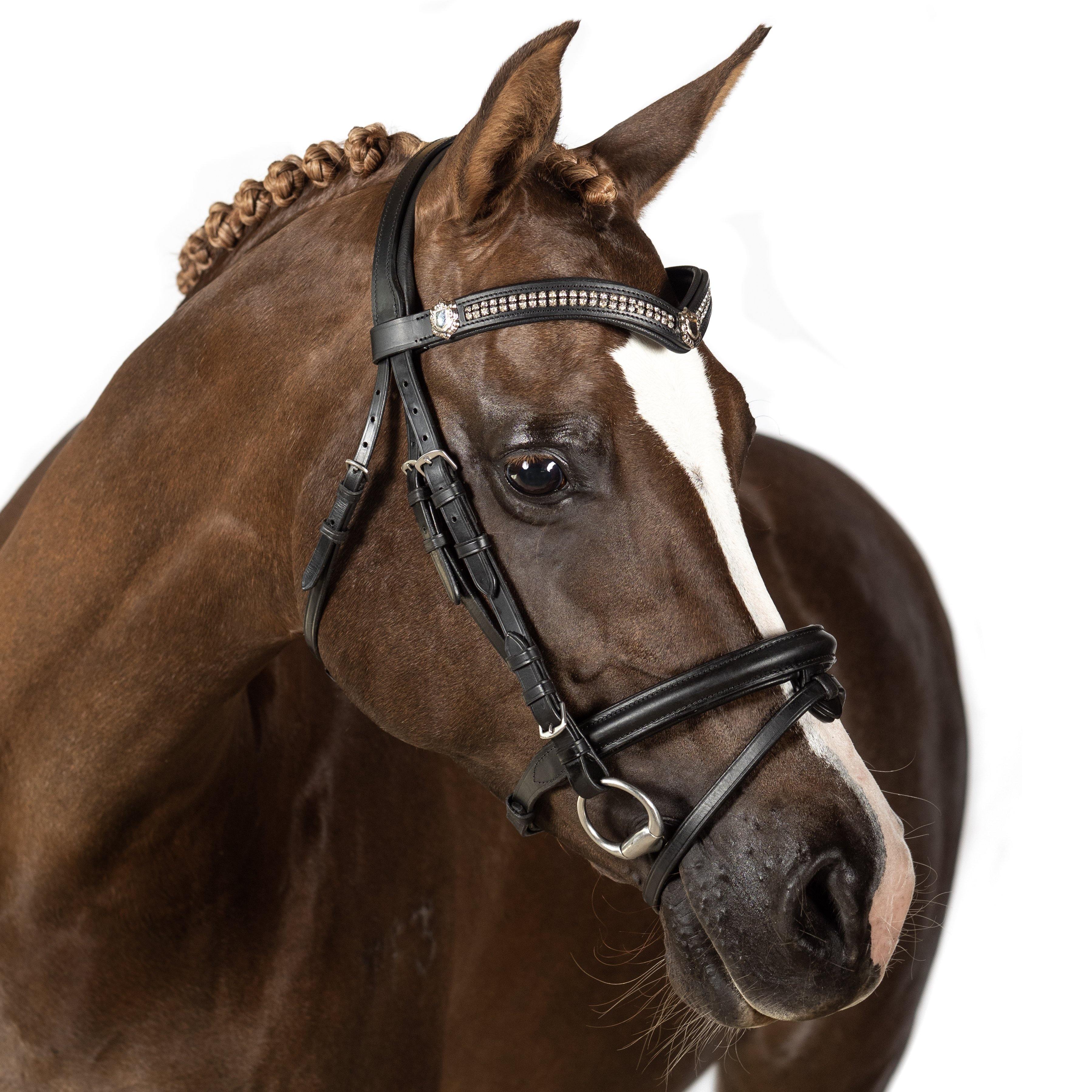 Black Snaffle Bridle ‘Spellbound’