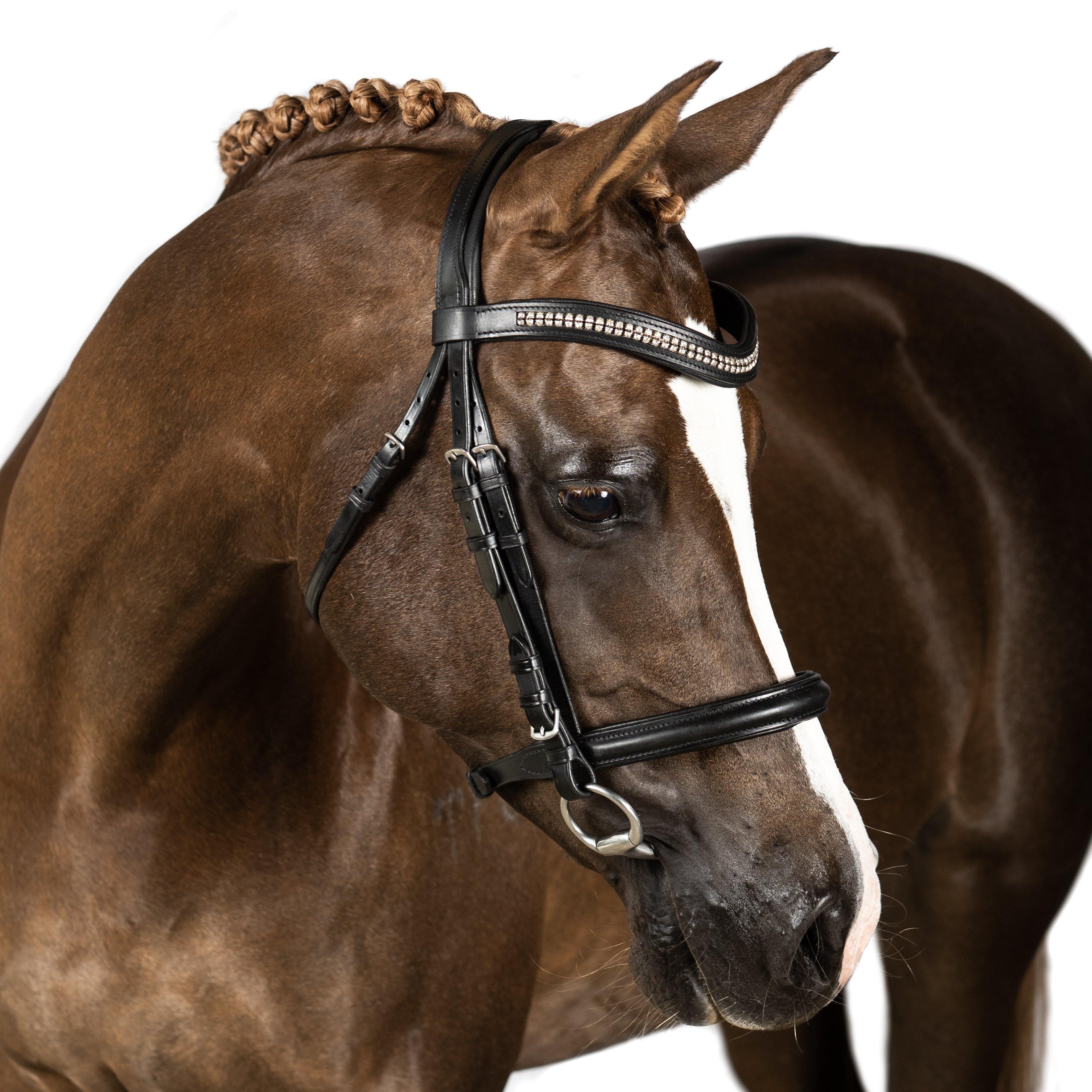 Black Snaffle Bridle ‘Vortex’