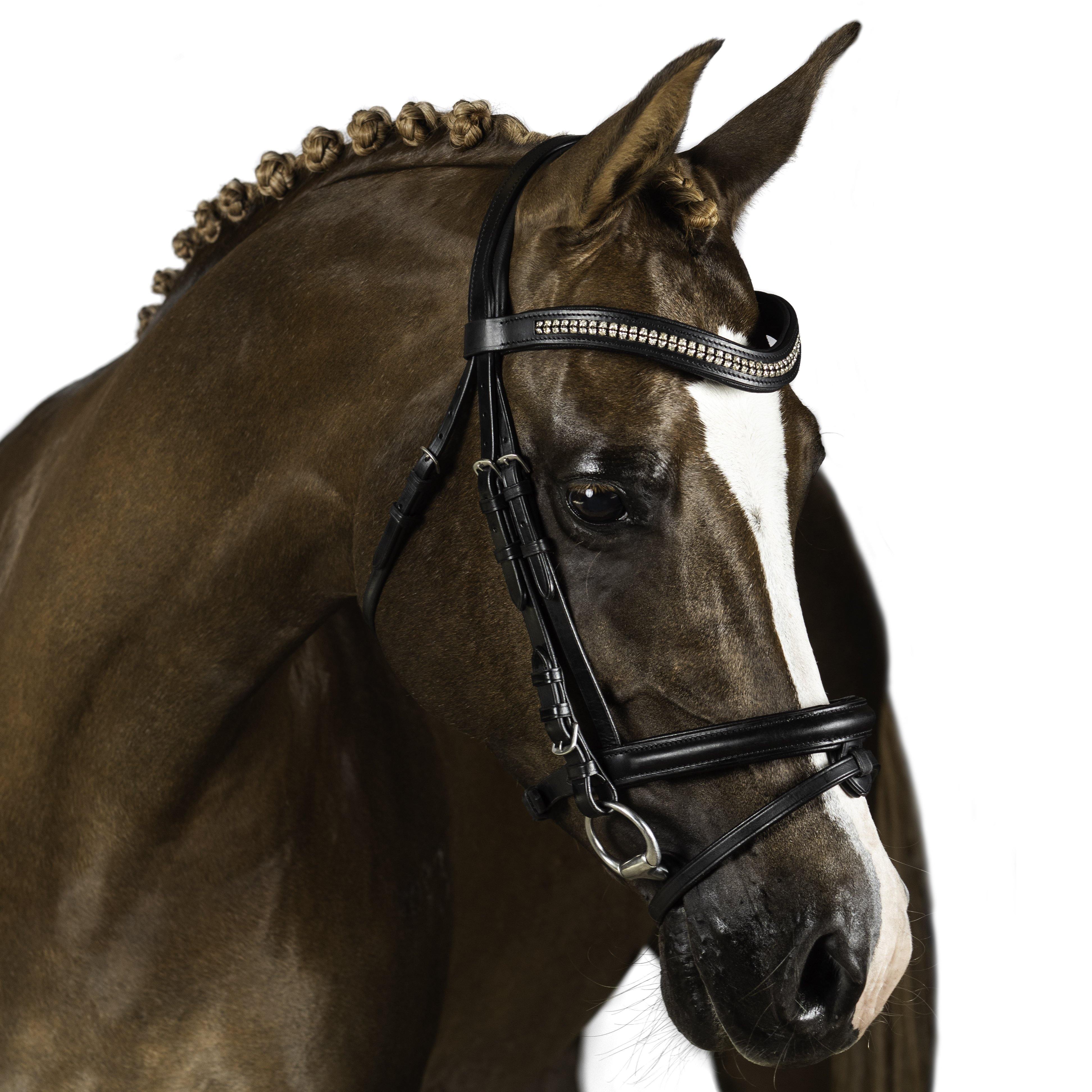 Black Snaffle Bridle ‘Vortex’