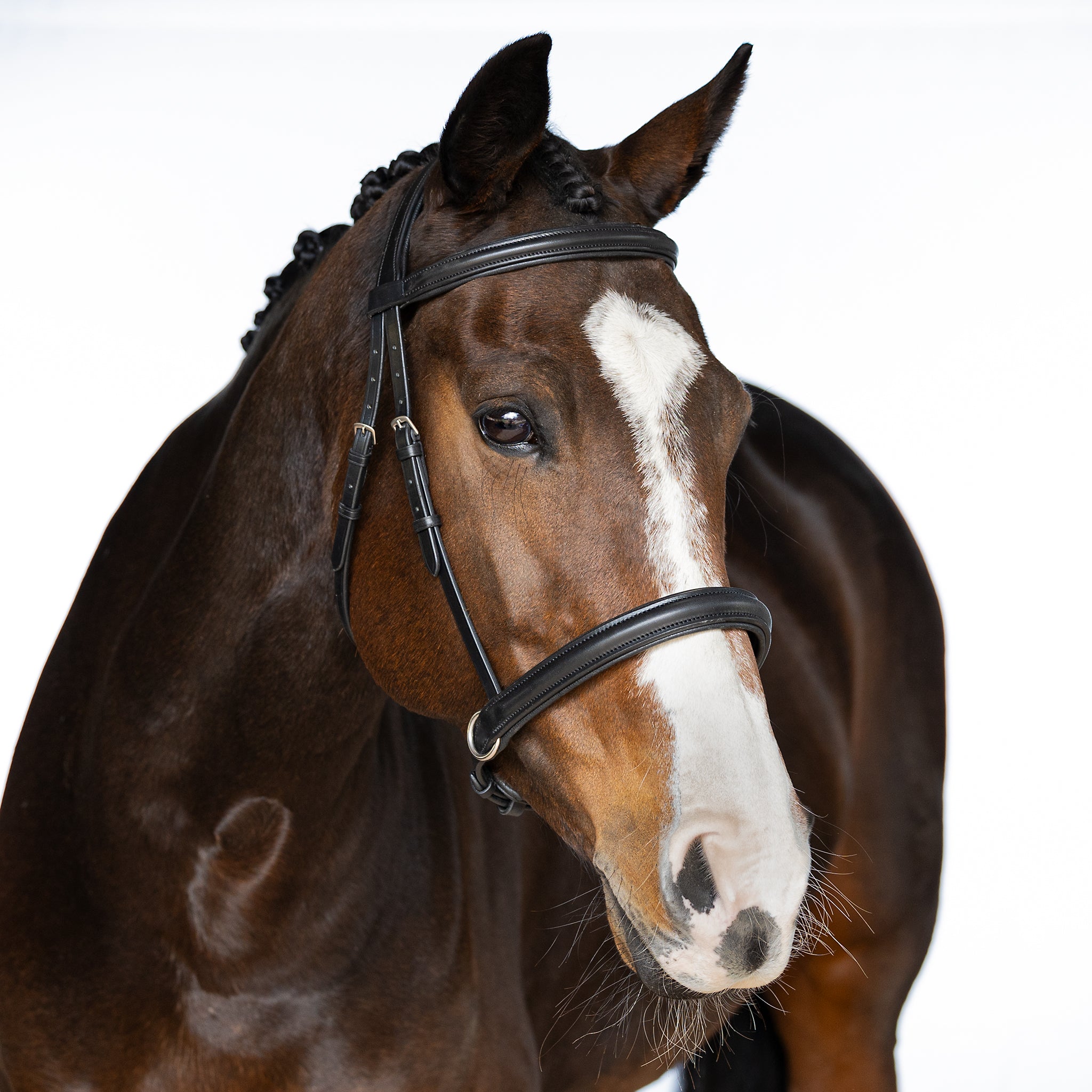 Black Bitless Bridle ‘Sirena’