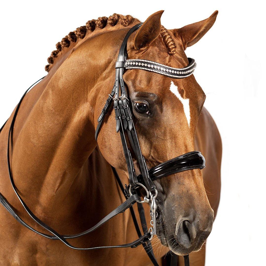 Premium Black Double Bridle ‘Gladiator’