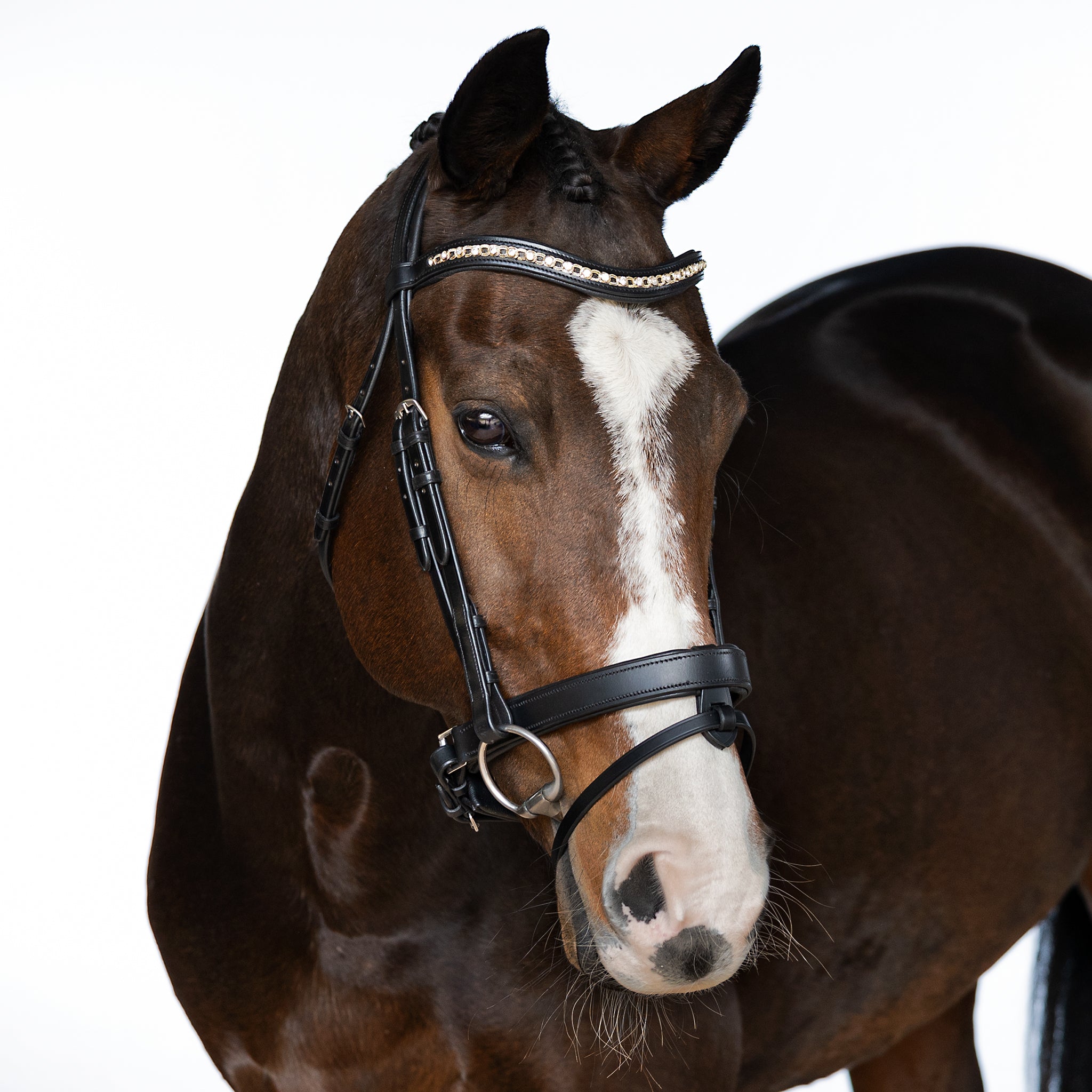 Black Snaffle Bridle ‘Willow’
