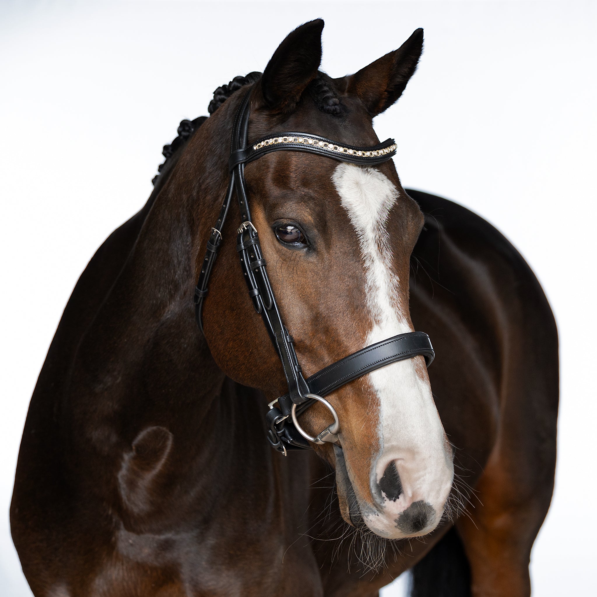 Black Snaffle Bridle ‘Willow’