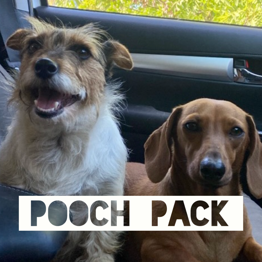 ? POOCH PACK- Just dogs? No worries