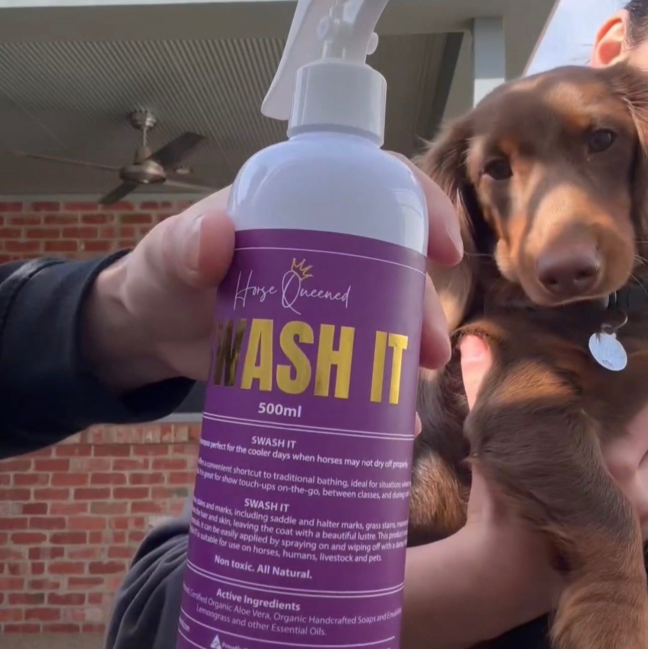 ? DOGGY Swash It &ndash; Spray, Rub, Done