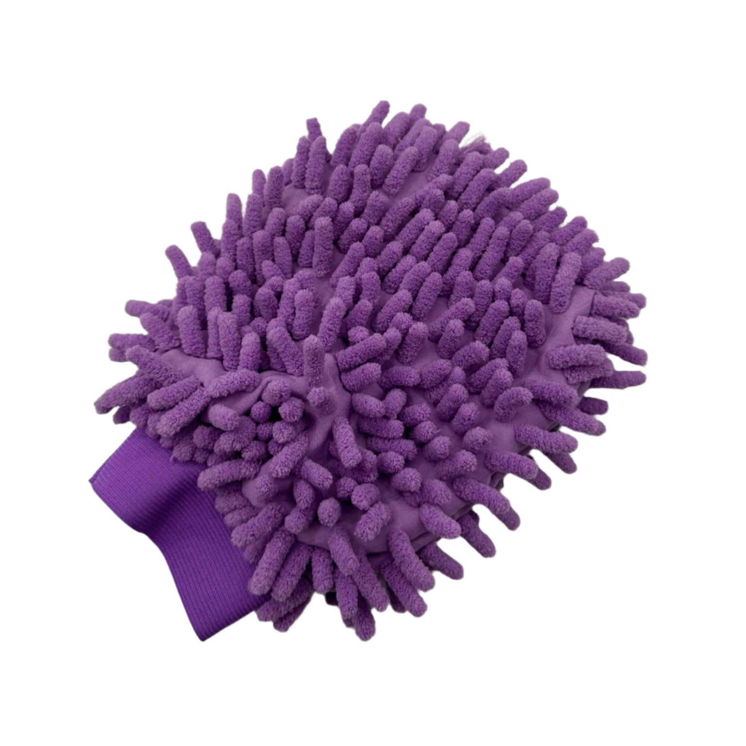 Purple Grooming Mitt