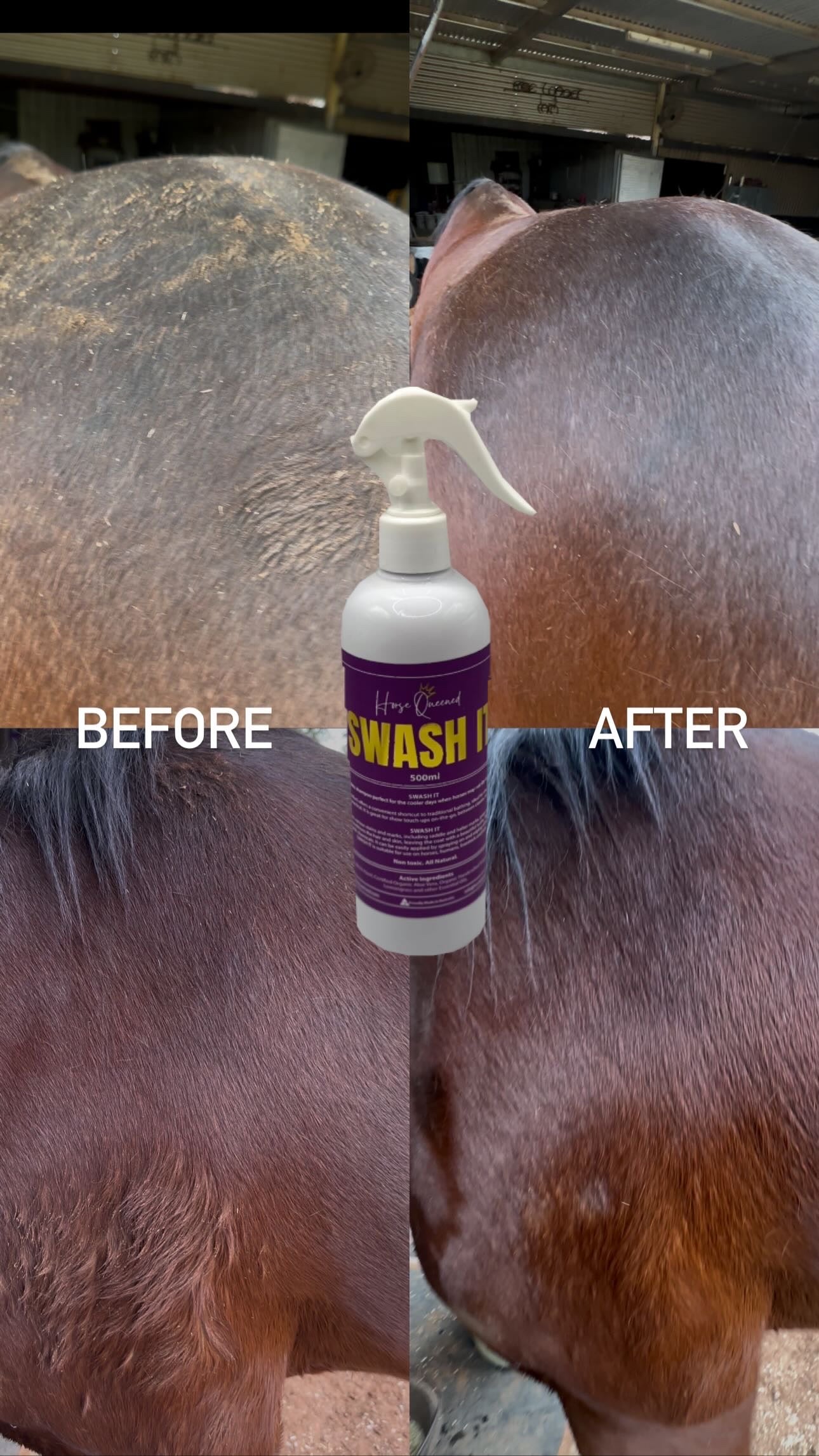 Swash It &ndash; Spray, rub, done. Fast clean-up for mud + show prep