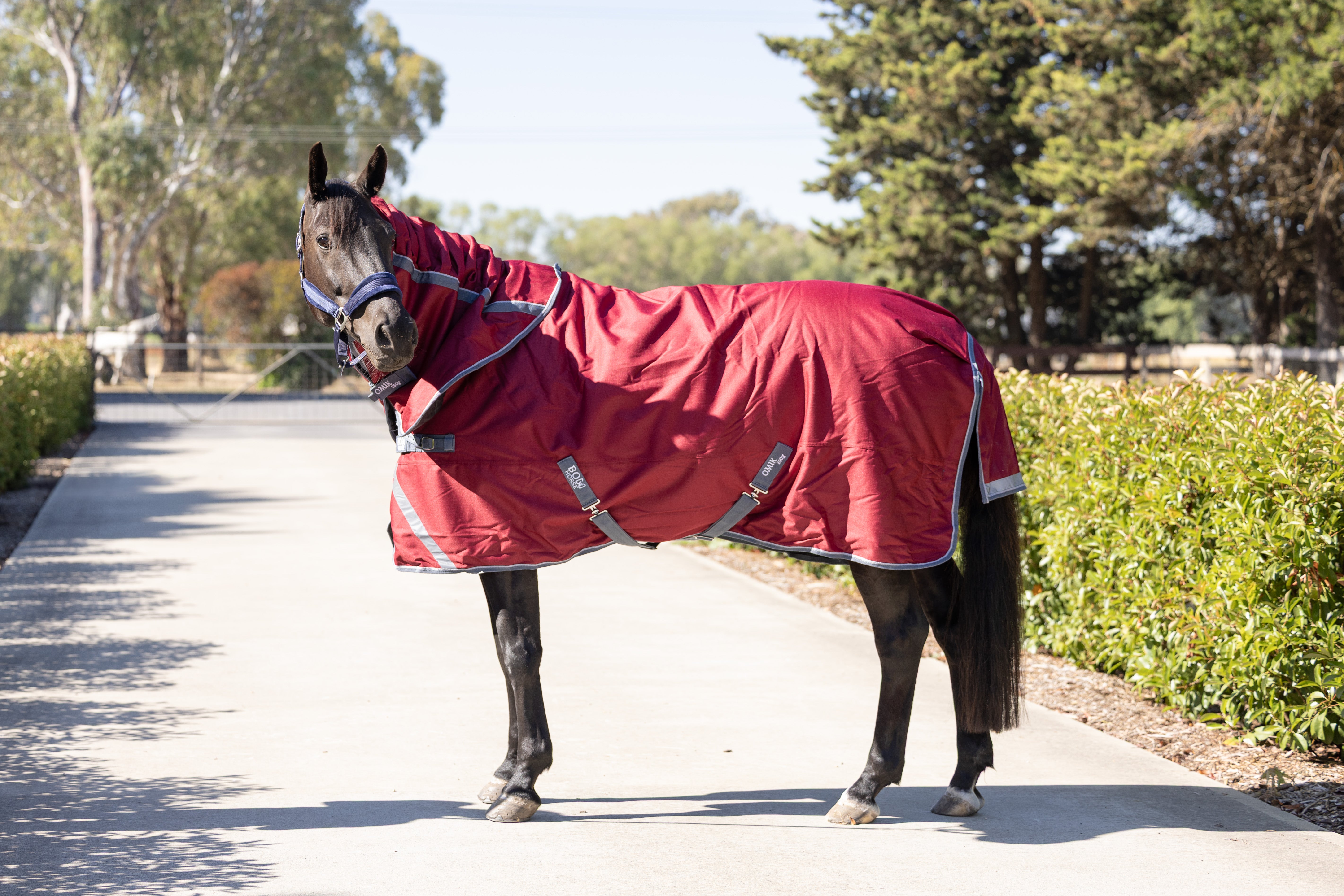Atlas Horse Rug with Detachable Neck