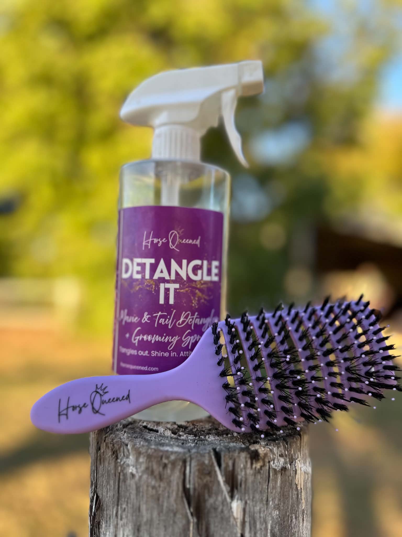 Tangle Tamer Brush