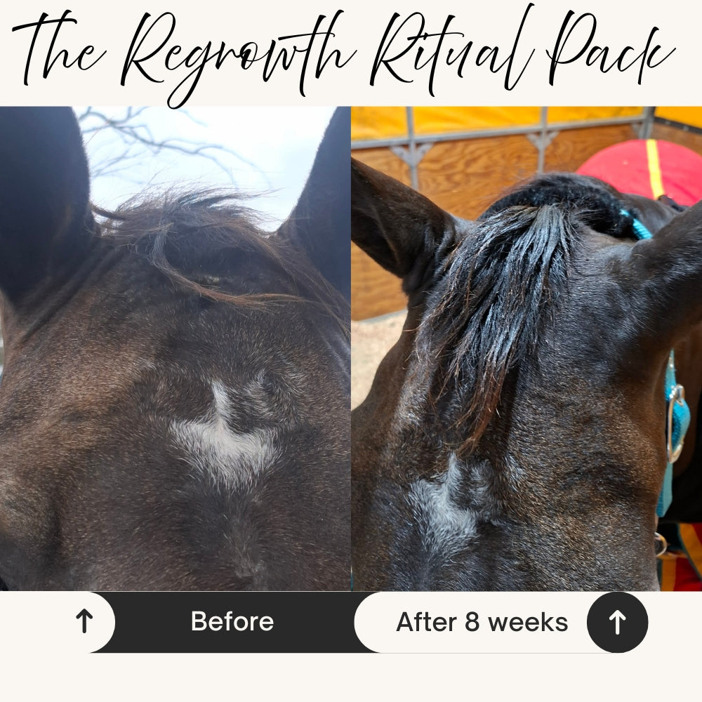 Grow It &ndash; Horse Leave-In Mane & Tail Serum | The Regrowth Ritual