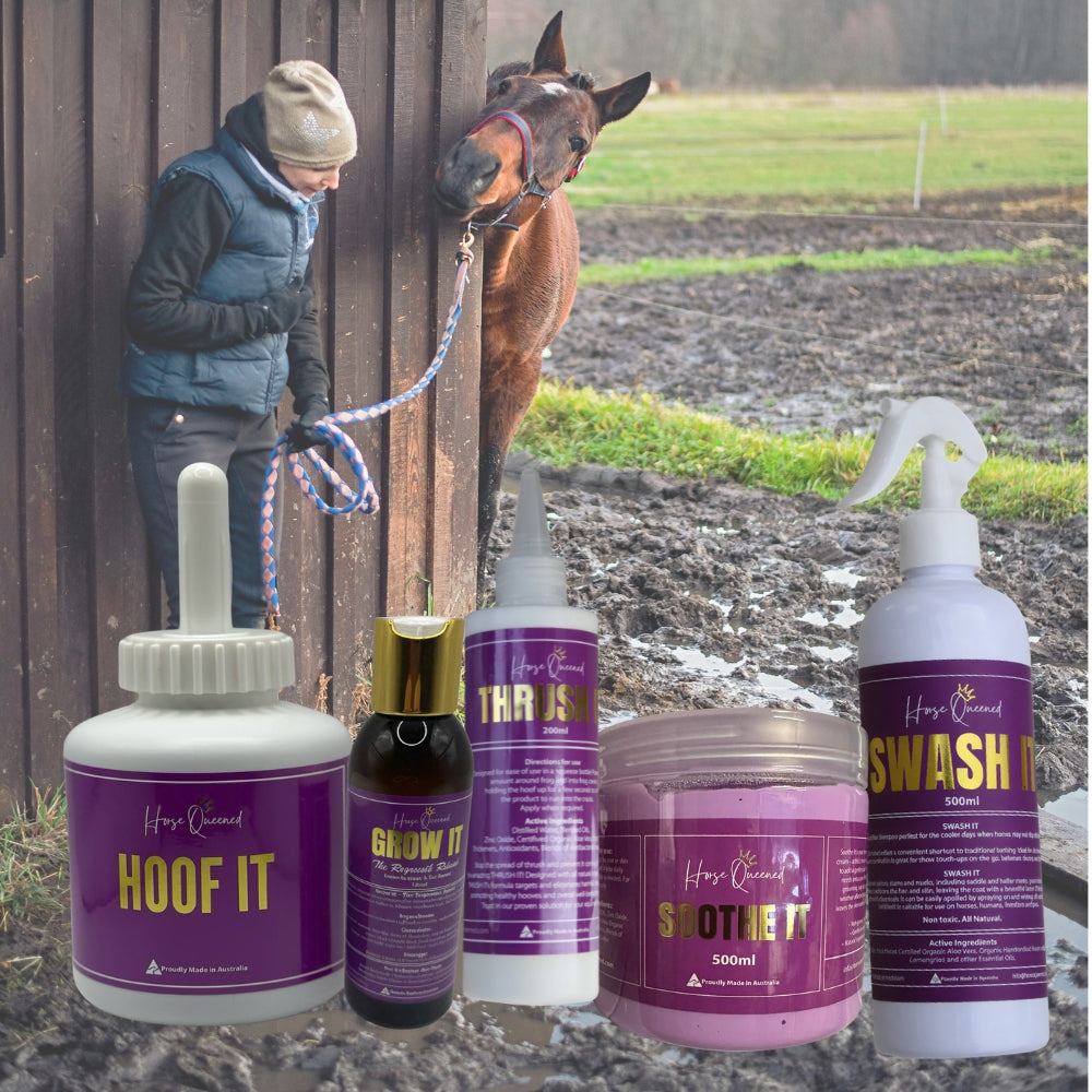 Winter Survival Pack &ndash; Horse Care Winter Essentials Bundle