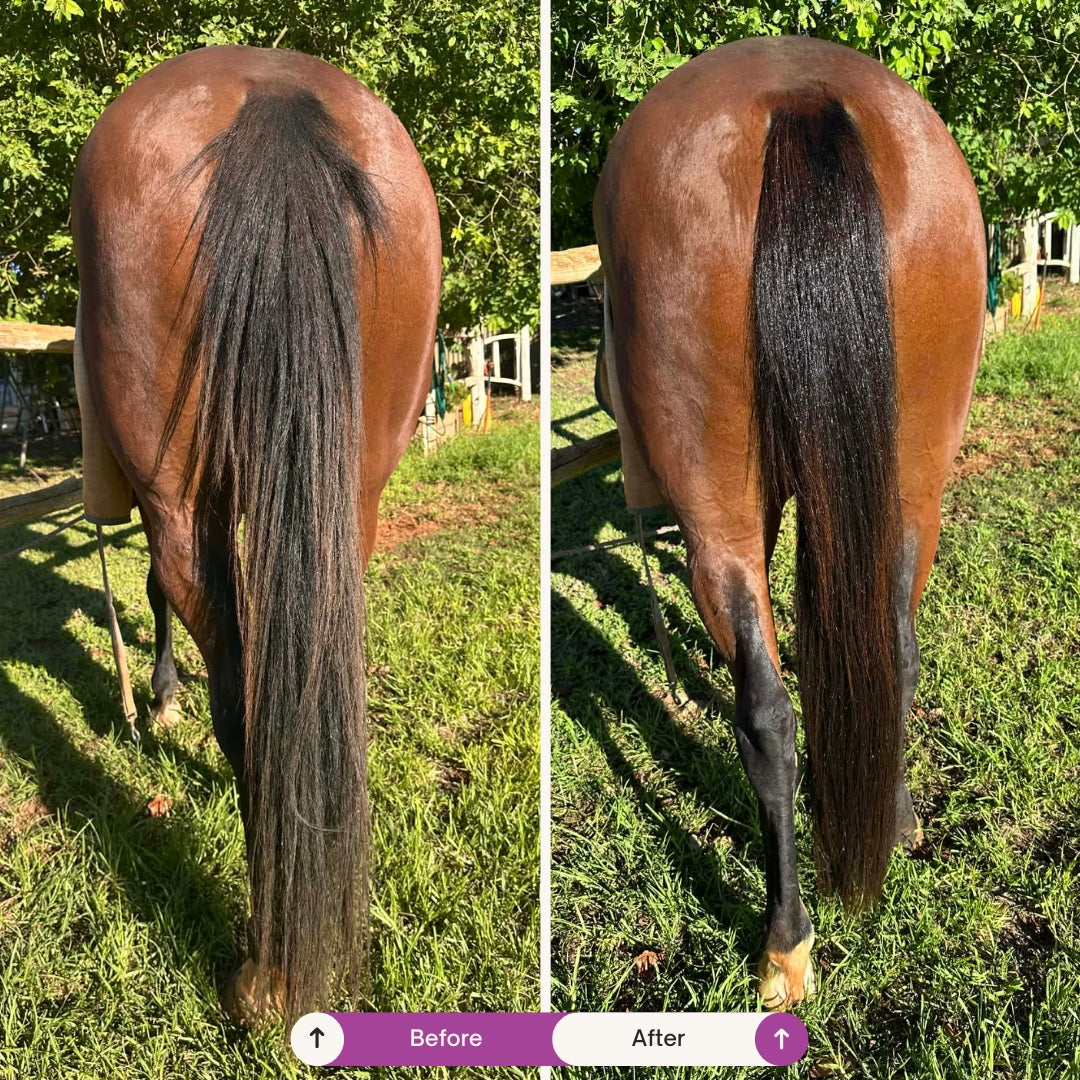 Detangle It &ndash; Horse Mane & Tail Detangler + High Gloss Spray