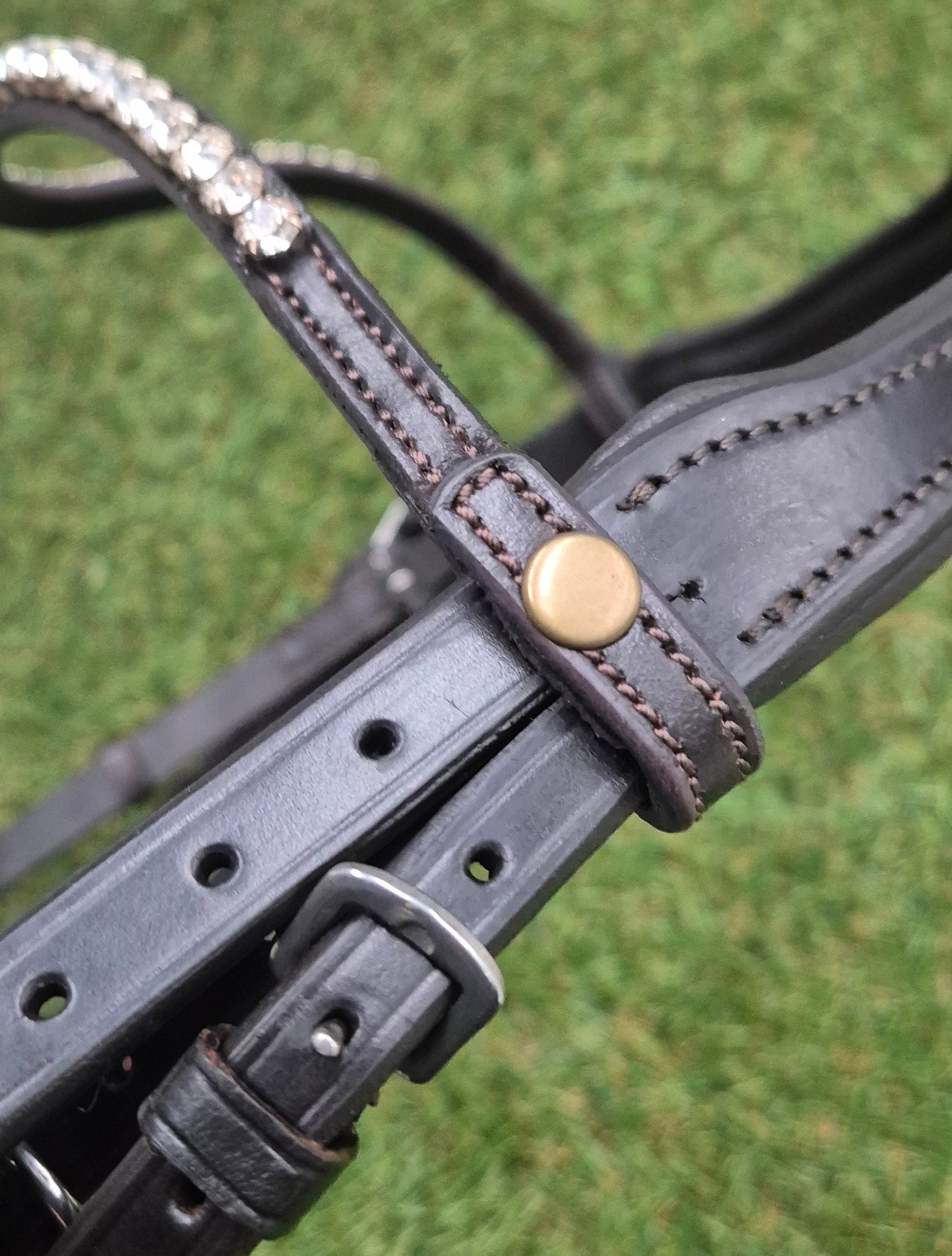 Cob Size Havana Premium Gel Snaffle Sales Bridle – No Reins